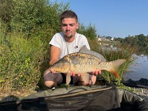 Mirror Carp