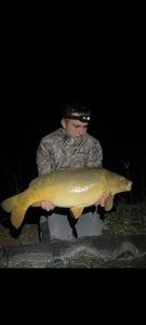 Mirror Carp