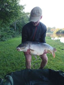 Leather Carp