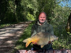 Mirror Carp