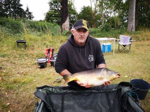 Mirror Carp