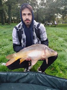 Mirror Carp