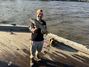 Walleye