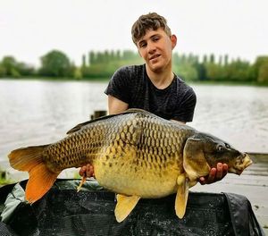 Common Carp