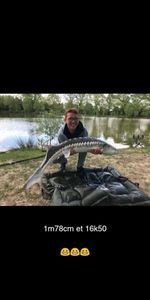 Sturgeon