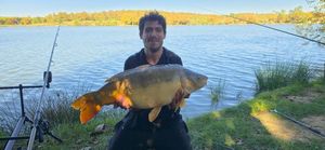 Mirror Carp