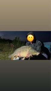 Mirror Carp