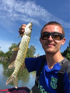 Northern Pike