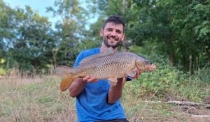 Common Carp