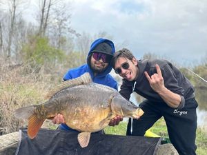 Mirror Carp