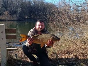 Common Carp