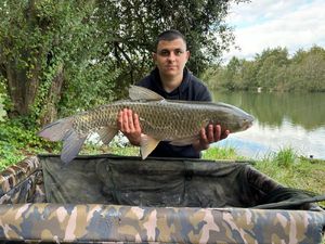 Grass Carp