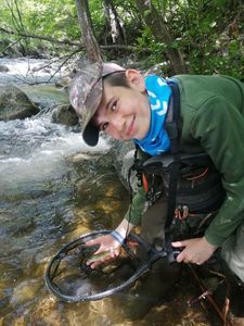Brown Trout