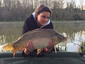 Mirror Carp