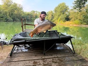 Mirror Carp