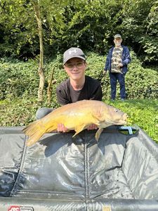 Mirror Carp