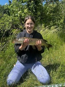 Northern Pike catturato da Maureen Gaucher
