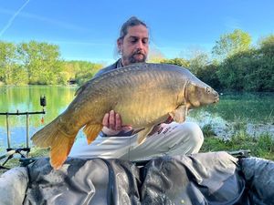 Mirror Carp