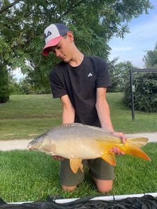 Mirror Carp