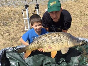 Common Carp