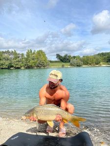 Common Carp