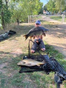 Mirror Carp