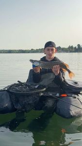 Northern Pike
