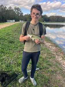 Largemouth Bass
