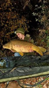 Mirror Carp