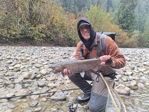 Coho Salmon