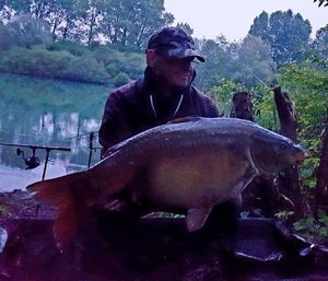 Mirror Carp