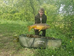 Mirror Carp