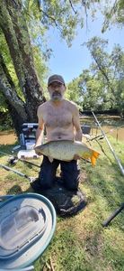 Common Carp