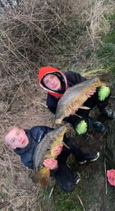 Mirror Carp