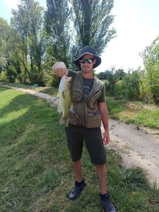 Largemouth Bass