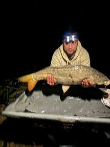 Mirror Carp
