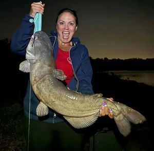 Blue Catfish