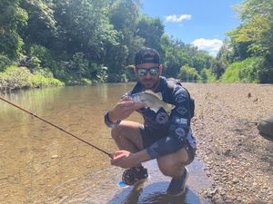 Jungle Perch
