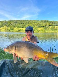 Mirror Carp