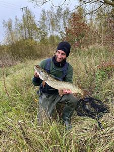 Northern Pike