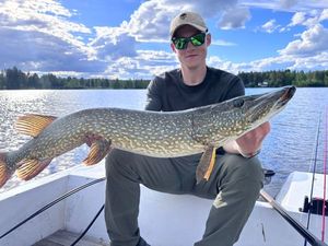 Northern Pike