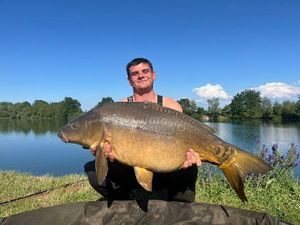 Mirror Carp