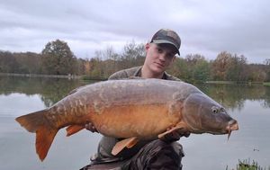 Mirror Carp