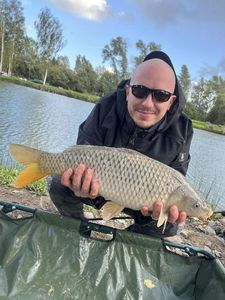 Common Carp