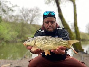 Common Carp