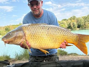 Common Carp
