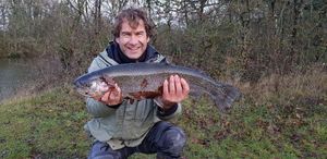 Rainbow Trout