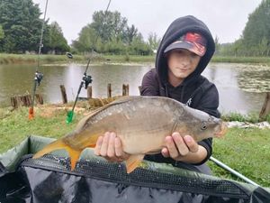 Mirror Carp