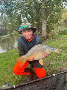 Mirror Carp