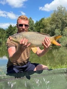 Common Carp